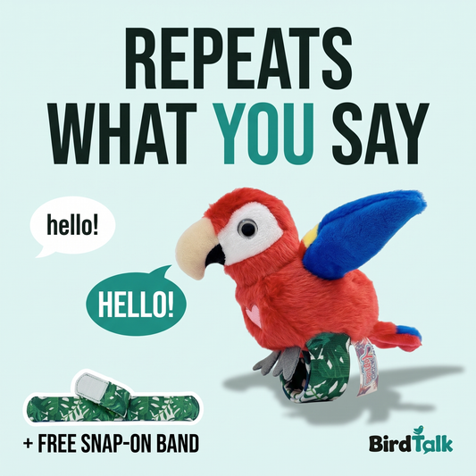 BirdTalk™ - Talking Bird Bracelets