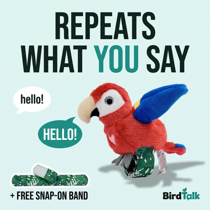 BirdTalk™ - Talking Bird Bracelets