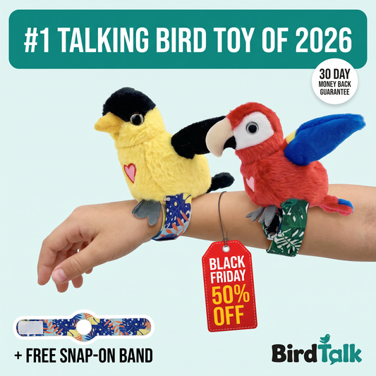 BirdTalk™ - Talking Bird Bracelets